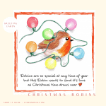Christmas Robins